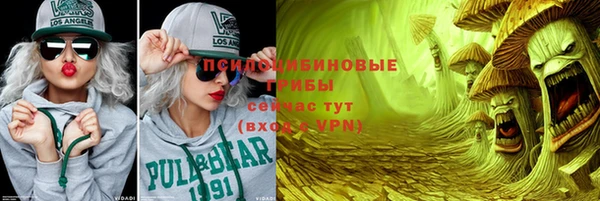 СК Верея