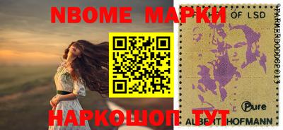 стафф Гай