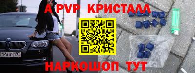 стафф Гай