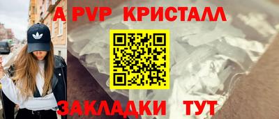 стафф Гай