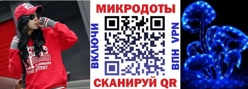 Псилоцибиновые грибы Psilocybe Верхний Уфалей
