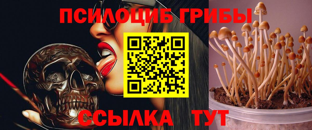 Псилоцибиновые грибы Magic Shrooms Верхний Уфалей